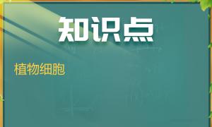 回答下列问题